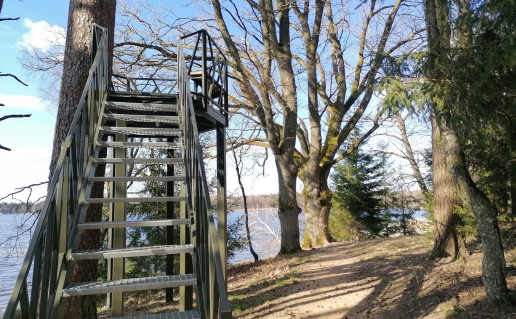 24_Germantas (3).jpg